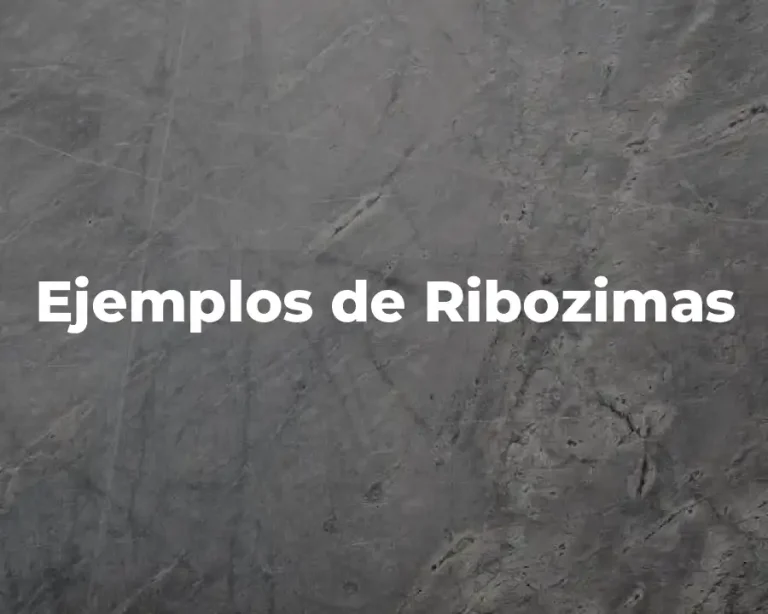Ejemplos de Ribozimas