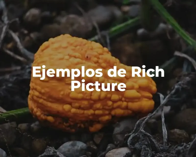 Ejemplos de Rich Picture