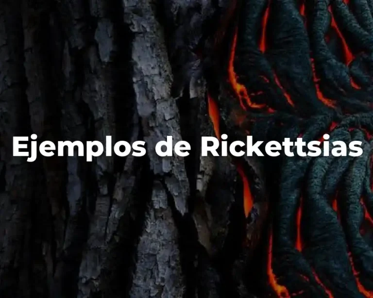 Ejemplos de Rickettsias
