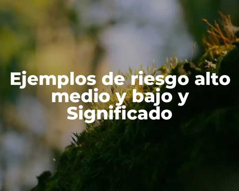 Ejemplos de riesgo alto medio y bajo y Significado