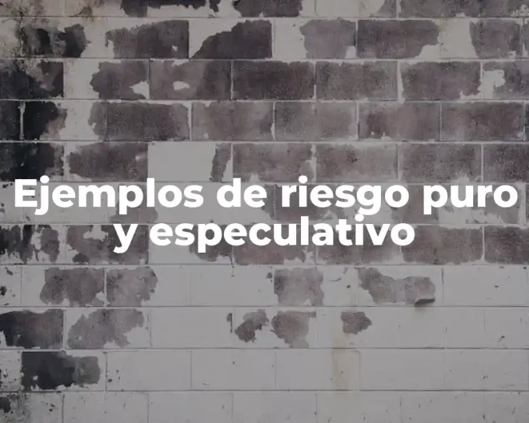 Ejemplos de riesgo puro y especulativo