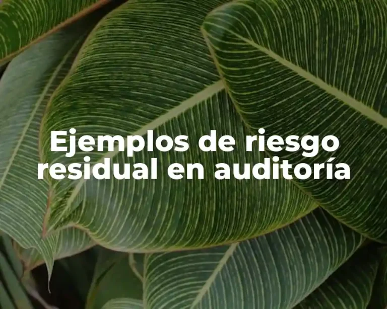 Ejemplos de riesgo residual en auditoría