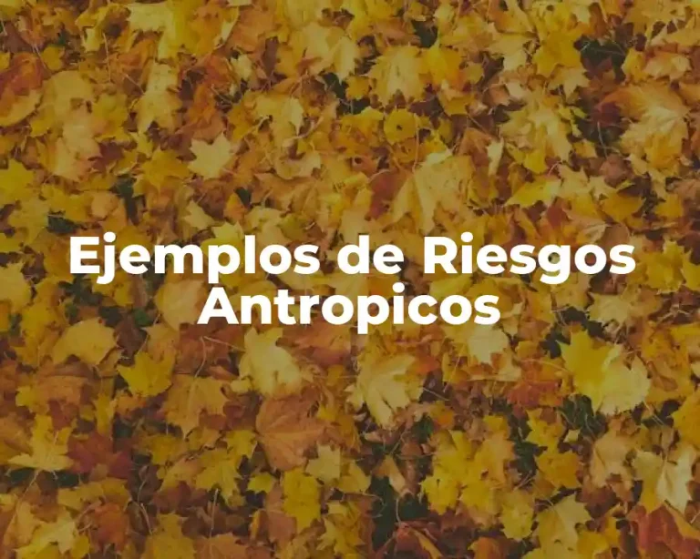 Ejemplos de Riesgos Antropicos