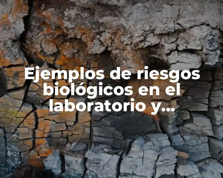 Ejemplos de riesgos biológicos en el laboratorio y Significado