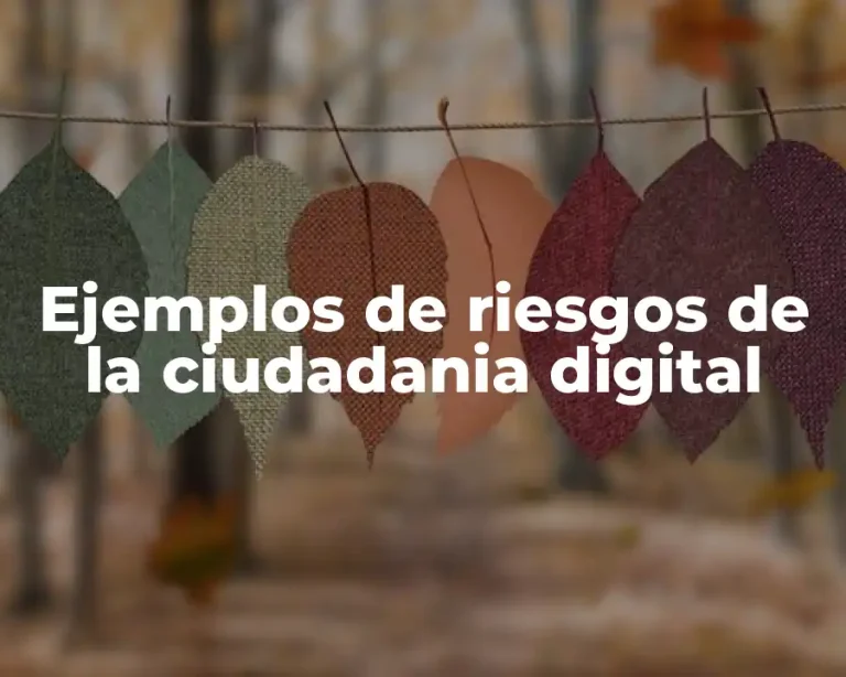 Ejemplos de riesgos de la ciudadania digital