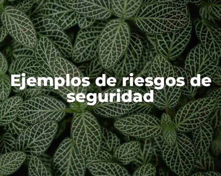 Ejemplos de riesgos de seguridad