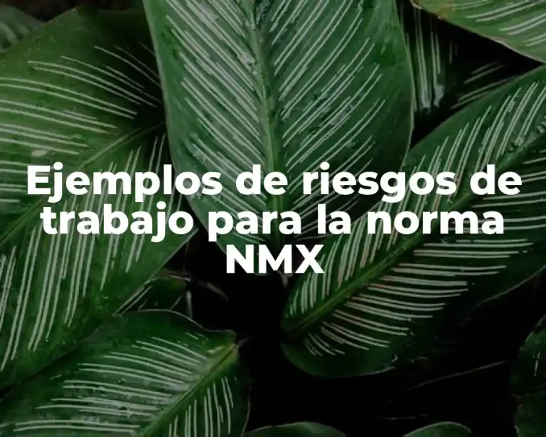 Ejemplos de riesgos de trabajo para la norma NMX