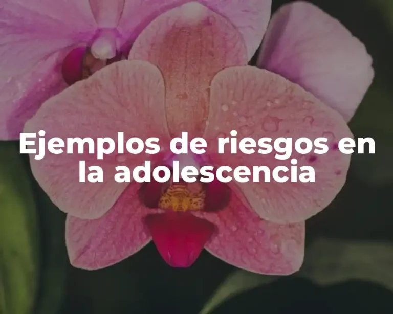 Ejemplos de riesgos en la adolescencia