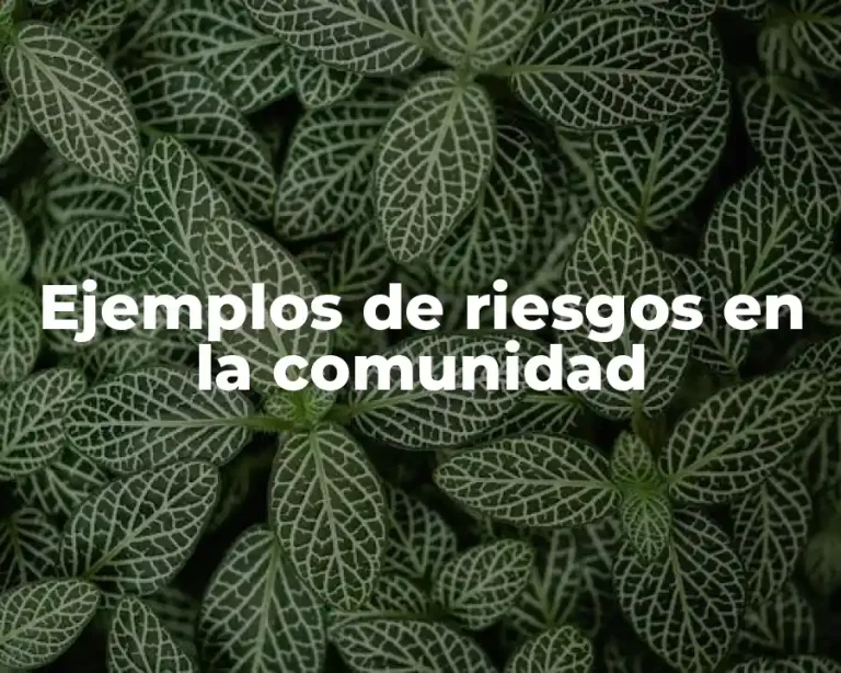 Ejemplos de riesgos en la comunidad