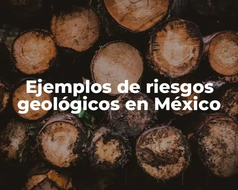 Ejemplos de riesgos geológicos en México