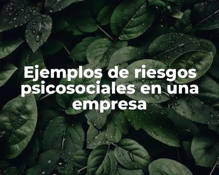 Ejemplos de riesgos psicosociales en una empresa