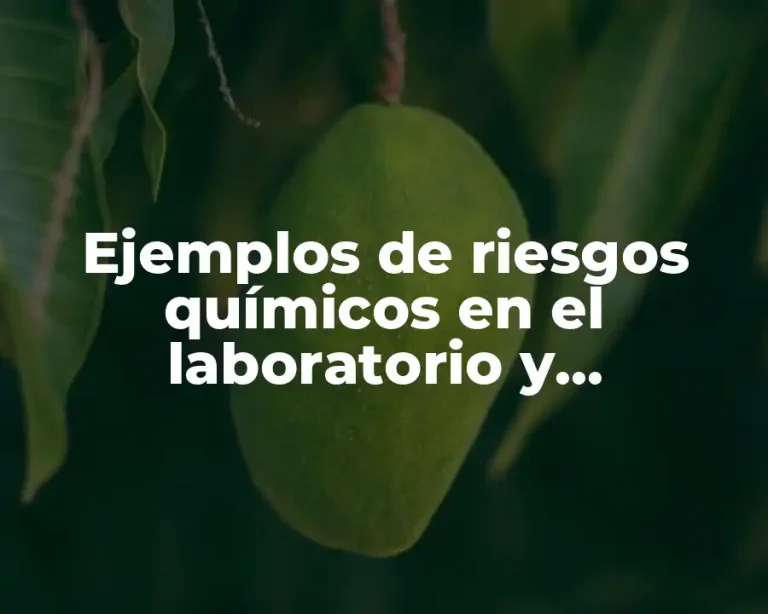 Ejemplos de riesgos químicos en el laboratorio y Significado