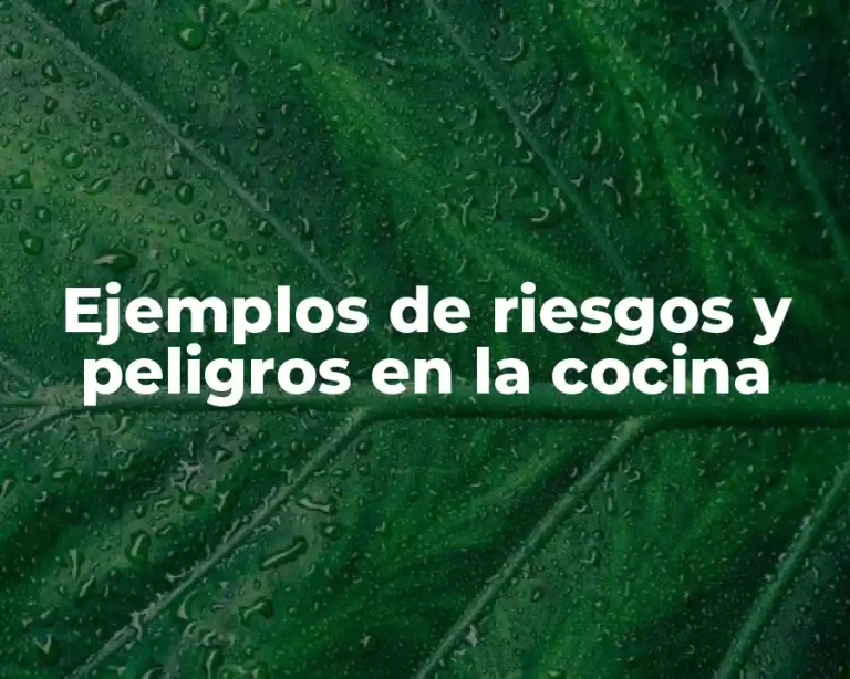 Ejemplos de riesgos y peligros en la cocina