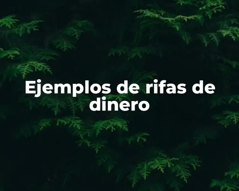 Ejemplos de rifas de dinero