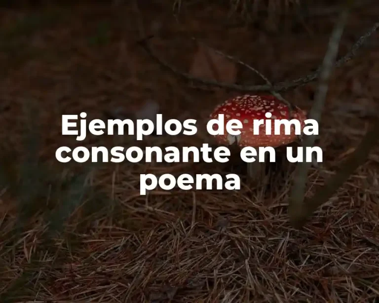 Ejemplos de rima consonante en un poema