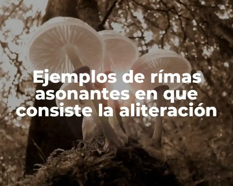 Ejemplos de rímas asonantes en que consiste la aliteración