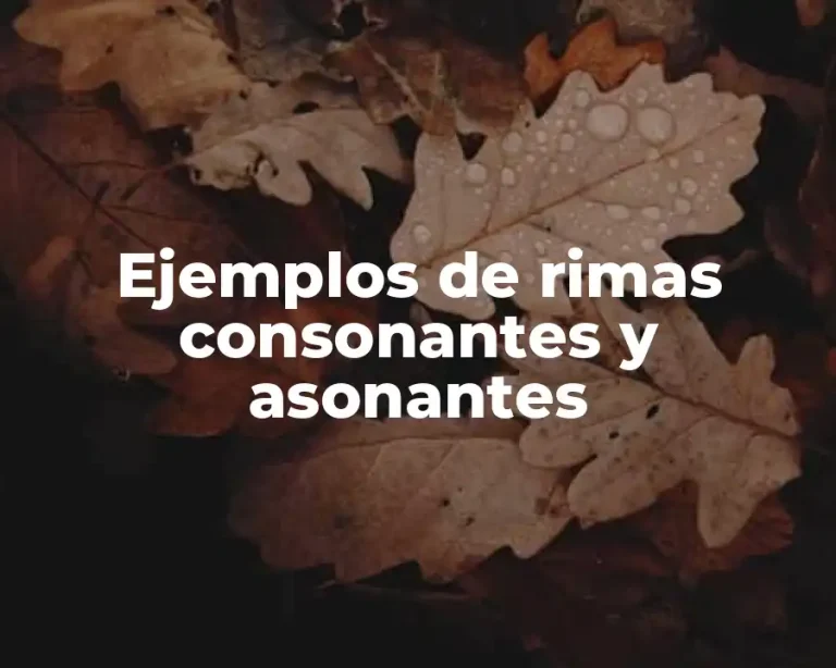 Ejemplos de rimas consonantes y asonantes
