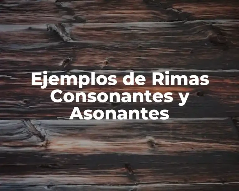 Ejemplos de Rimas Consonantes y Asonantes