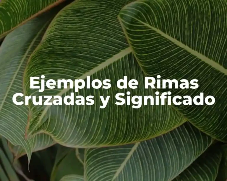 Ejemplos de Rimas Cruzadas y Significado