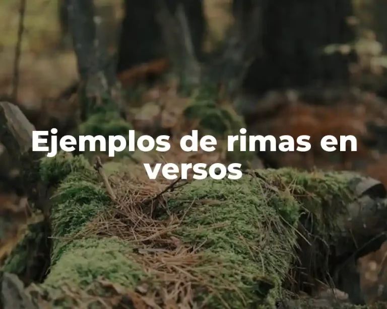 Ejemplos de rimas en versos
