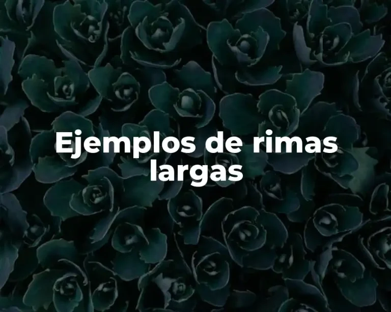 Ejemplos de rimas largas