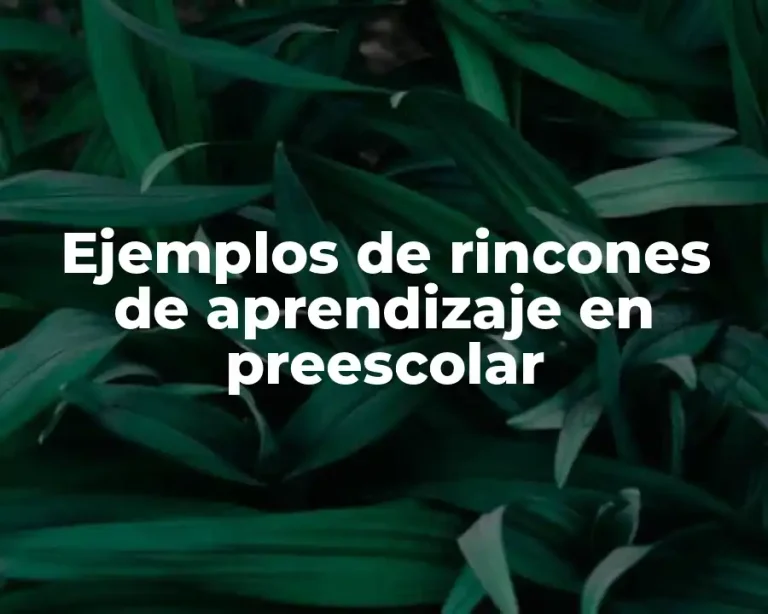 Ejemplos de rincones de aprendizaje en preescolar