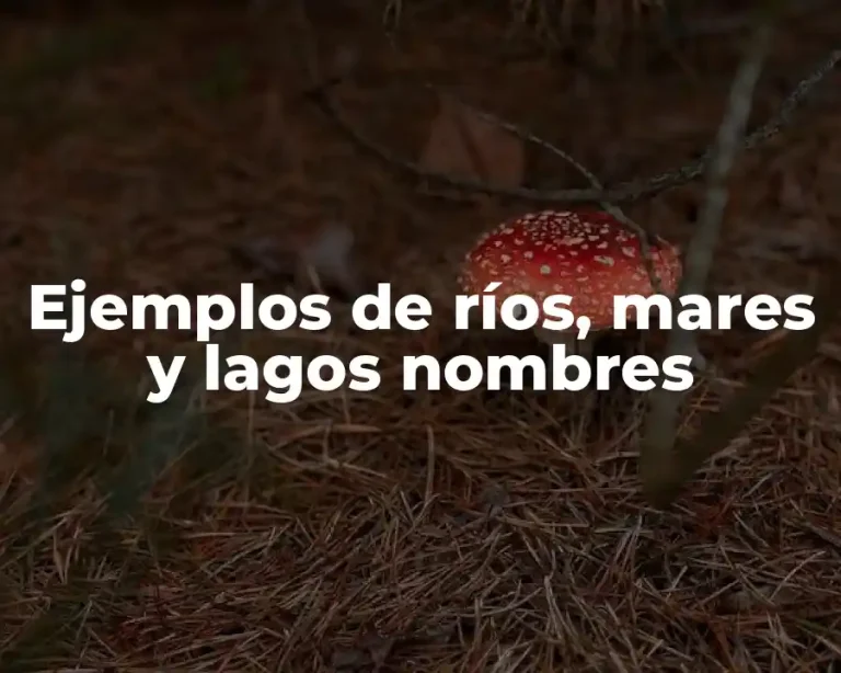 Ejemplos de ríos, mares y lagos nombres