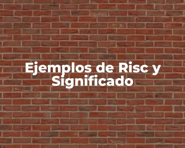 Ejemplos de Risc y Significado