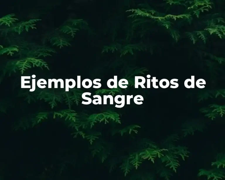Ejemplos de Ritos de Sangre