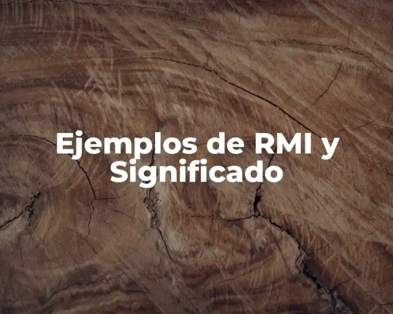 Ejemplos de RMI y Significado