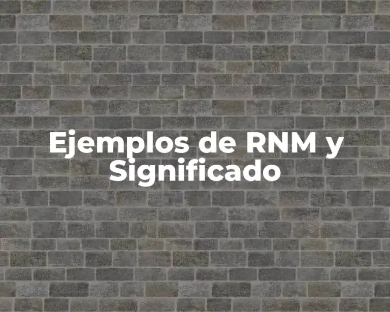 Ejemplos de RNM y Significado