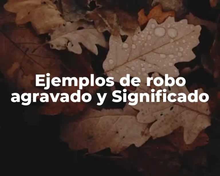 Ejemplos de robo agravado y Significado