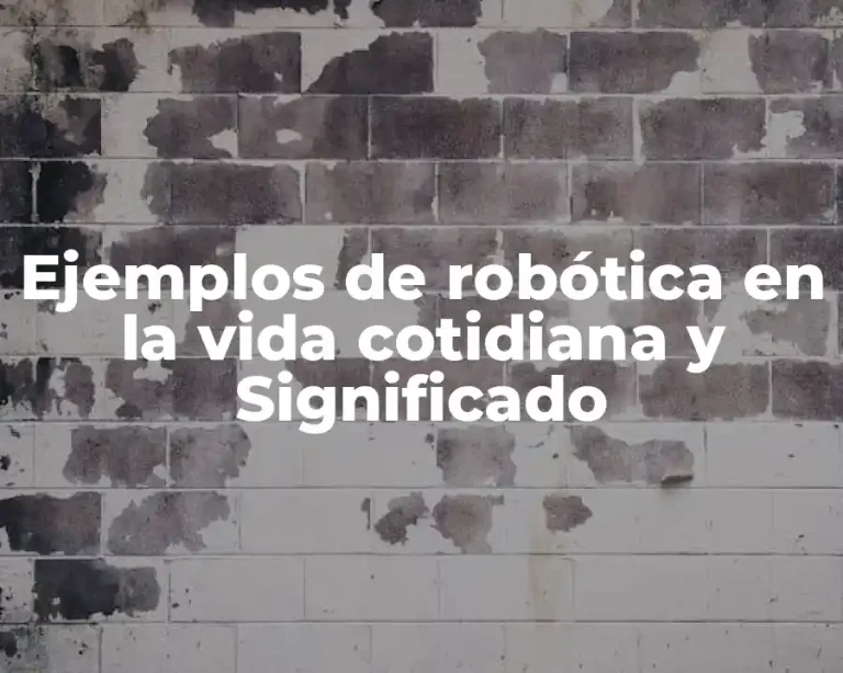 Ejemplos de robótica en la vida cotidiana y Significado