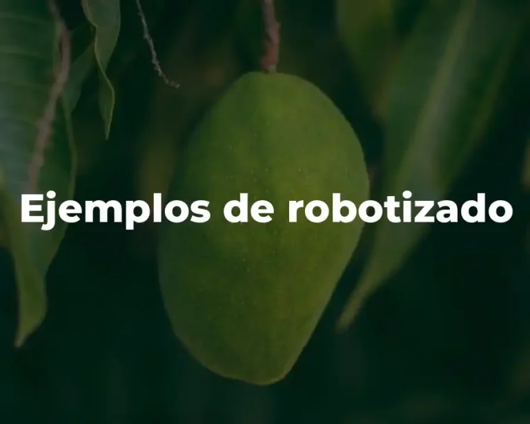 Ejemplos de robotizado