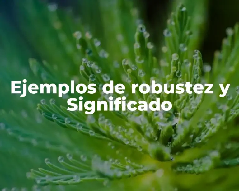 Ejemplos de robustez y Significado