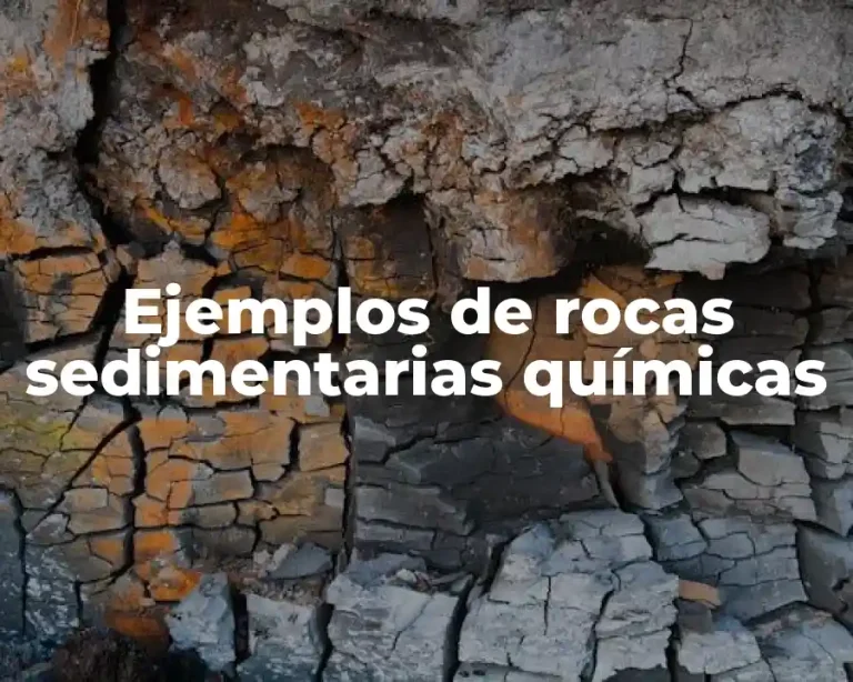 Ejemplos de rocas sedimentarias químicas
