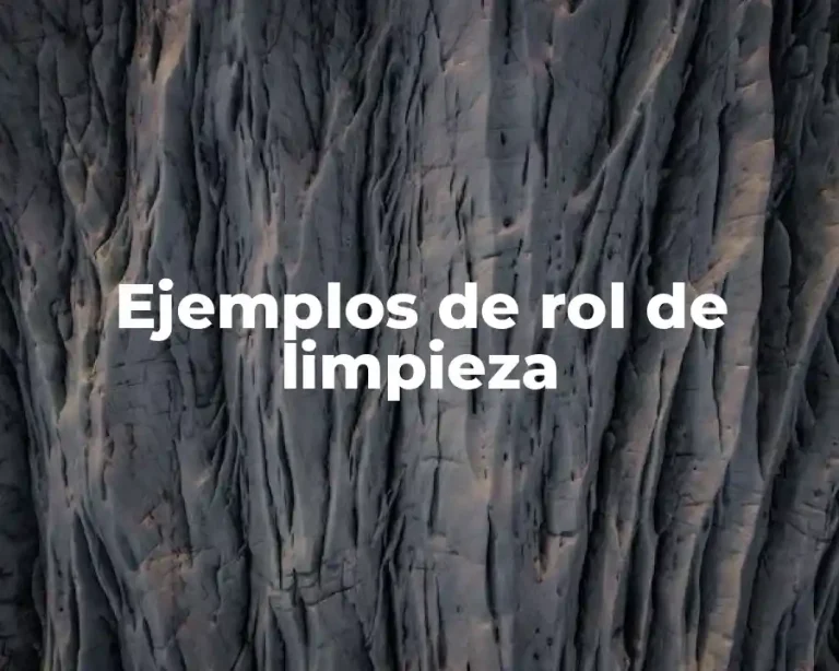 Ejemplos de rol de limpieza