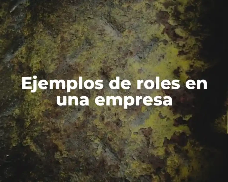 Ejemplos de roles en una empresa