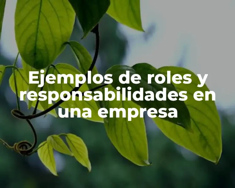Ejemplos de roles y responsabilidades en una empresa