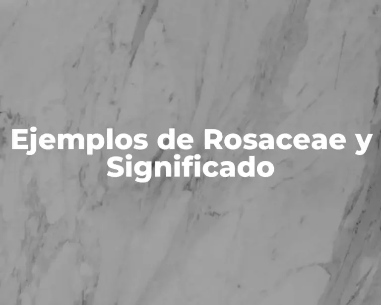 Ejemplos de Rosaceae y Significado