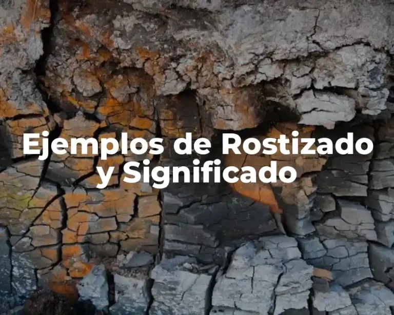 Ejemplos de Rostizado y Significado