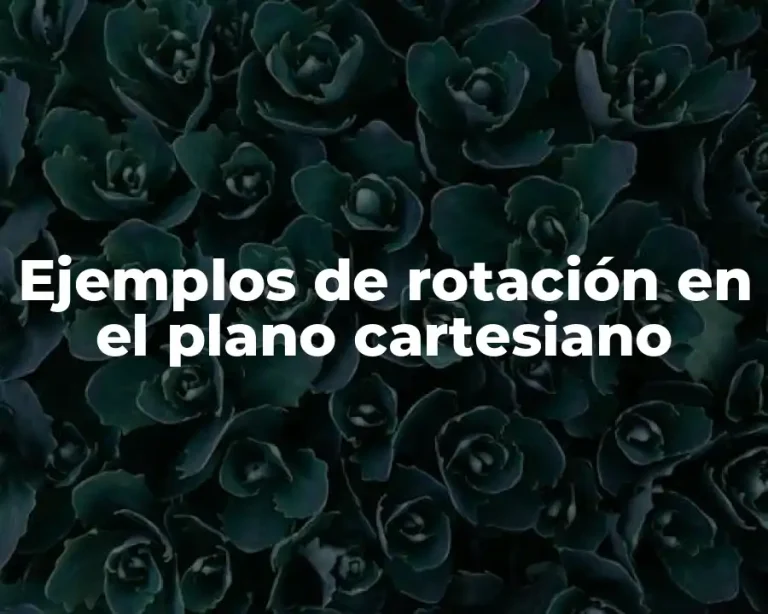 Ejemplos de rotación en el plano cartesiano