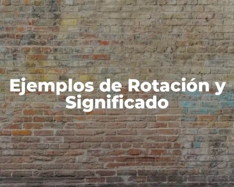 Ejemplos de Rotación y Significado