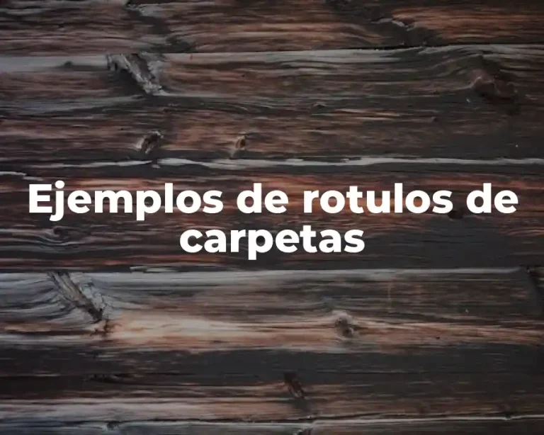Ejemplos de rotulos de carpetas