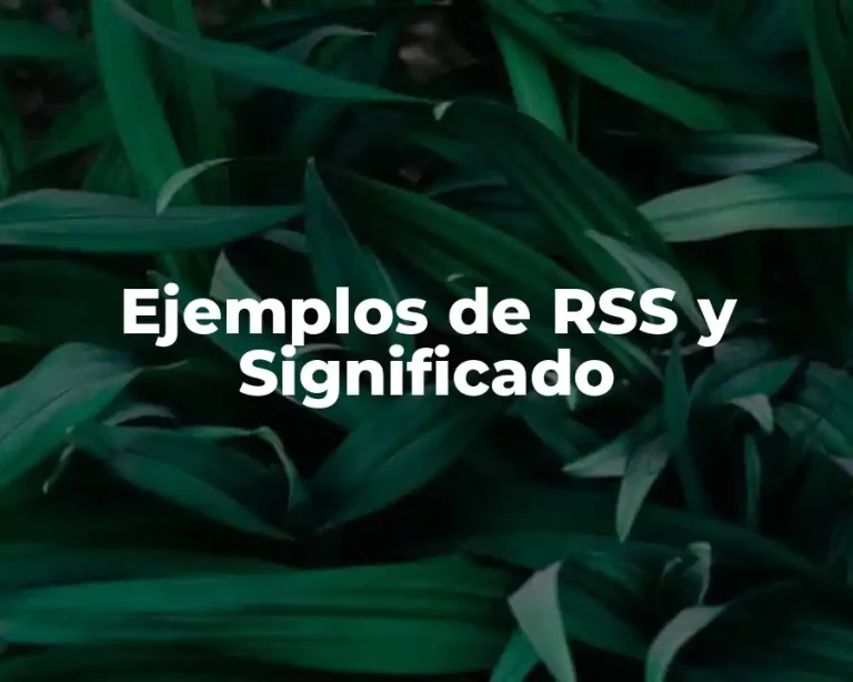 Ejemplos de RSS y Significado