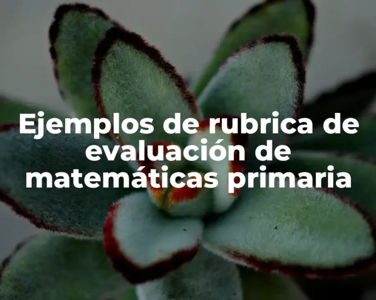 Ejemplos de rubrica de evaluación de matemáticas primaria