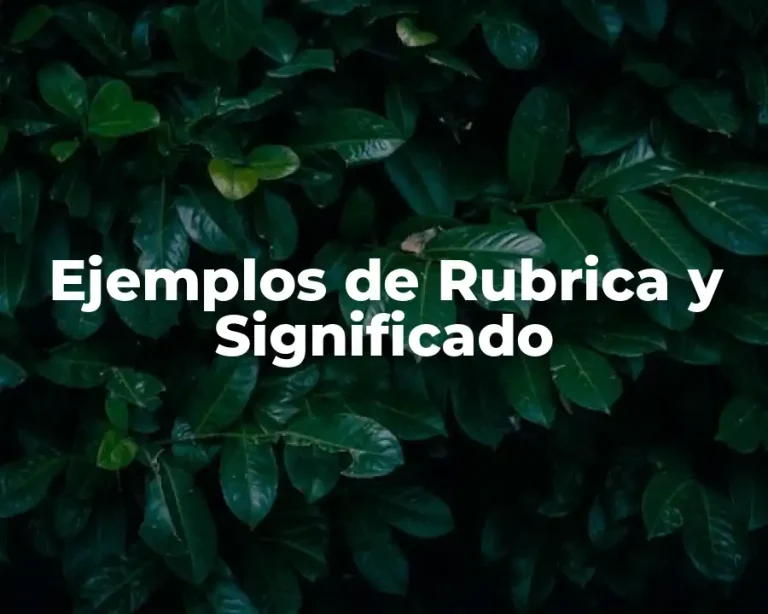 Ejemplos de Rubrica y Significado