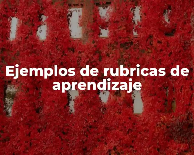 Ejemplos de rubricas de aprendizaje