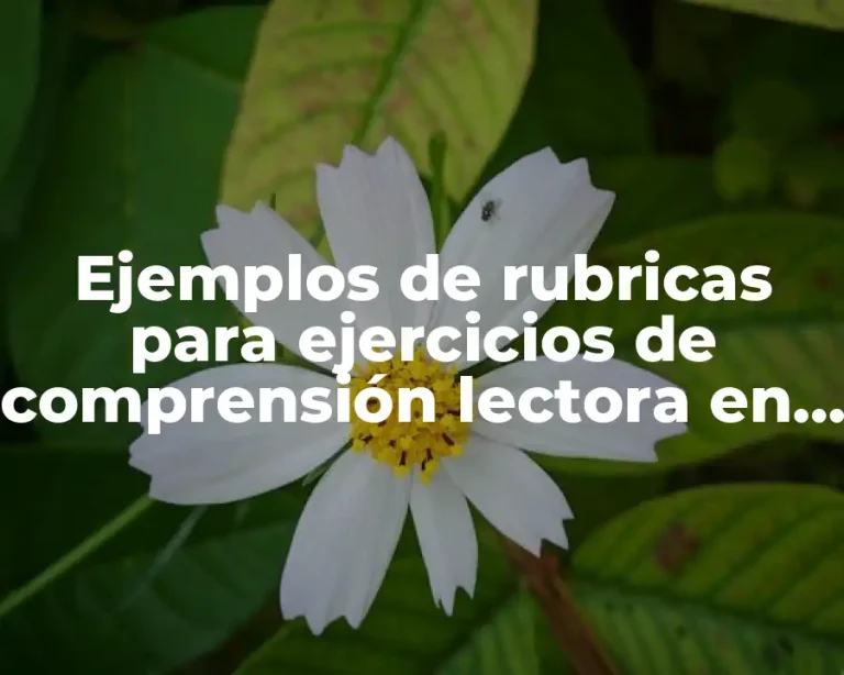 Ejemplos de rubricas para ejercicios de comprensión lectora en inglés y Significado