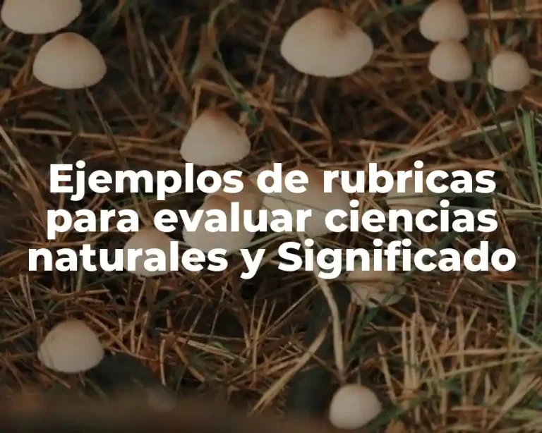 Ejemplos de rubricas para evaluar ciencias naturales y Significado